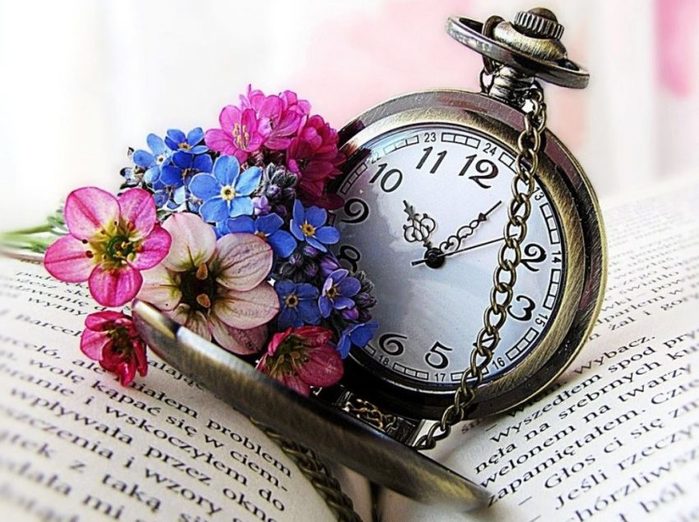 flowers-time-book-spring-watch-object-flower-hd-quality-e1555480034834 (700x522, 86Kb)