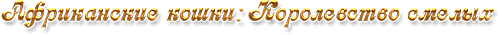 --1 (500x35, 28Kb)