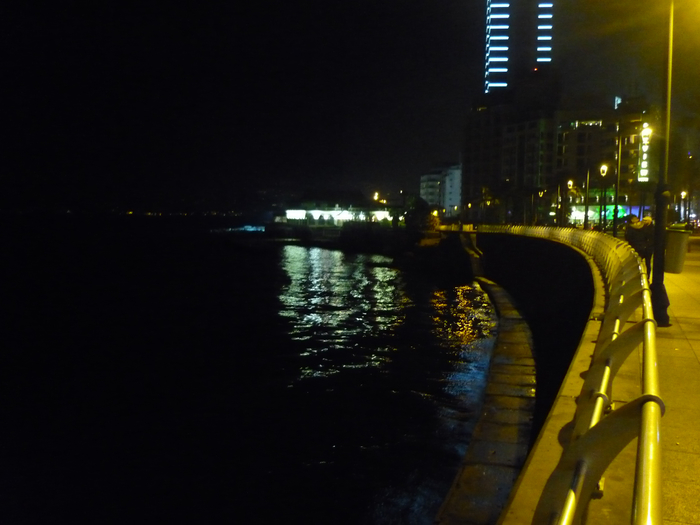 P1250915 (700x525, 261Kb)