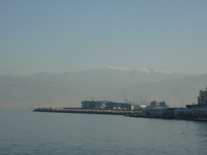 P1250968 (700x525, 257Kb)