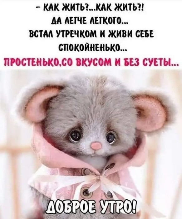 4743317_image20191228 (583x700, 82Kb)