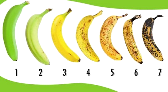 5177462_original555 (545x300, 167Kb)