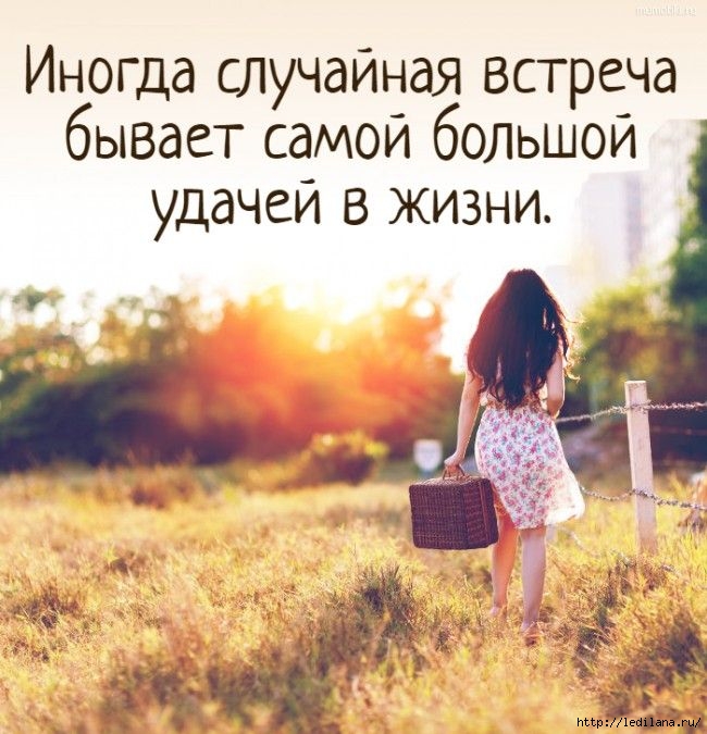 3925311_Slychainaya_vstrecha (650x675, 233Kb)