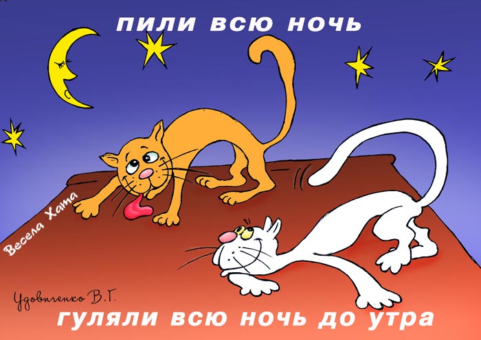 Гуляли всю ночь до утра автор. Гуляли всю ночь. Гуляли всю ночь до утра. Пили всю ночь гуляли всю. Пить гулять всю ночь до утра.