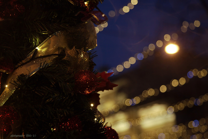 IMG_7001_edit1 (700x466, 340Kb)
