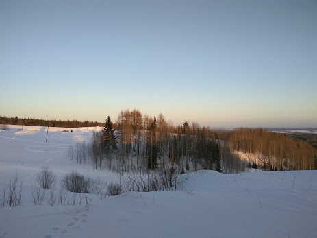 IMG_20200105_124325 (463x347, 26Kb)