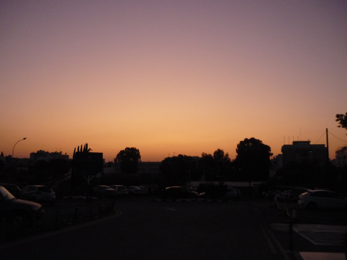 P1250444 (700x525, 224Kb)