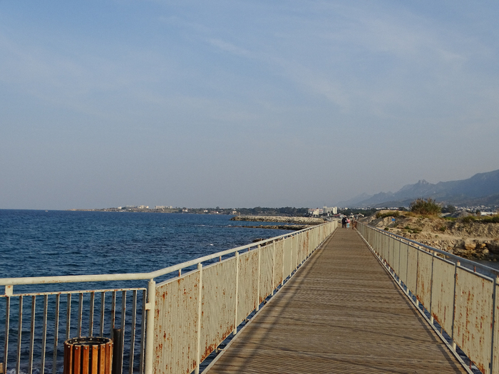DSC00152 (700x525, 359Kb)