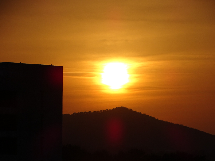 DSC00183 (700x525, 233Kb)