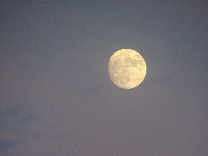 DSC00205 (700x525, 281Kb)