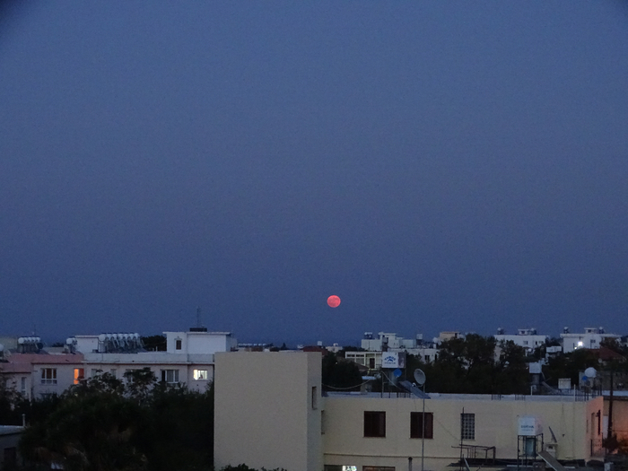 DSC00022 (700x525, 299Kb)