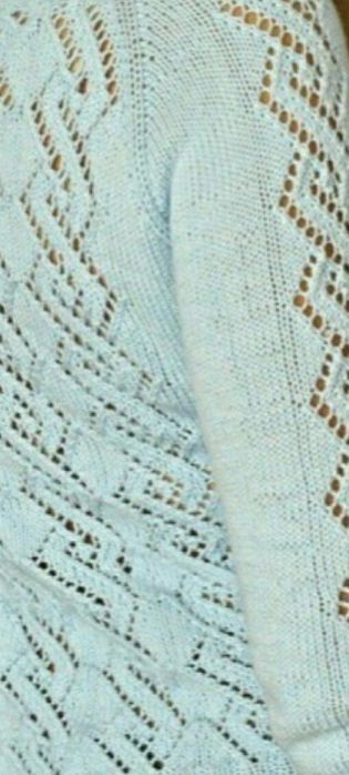 IMG_20200111_172216 (315x700, 227Kb)