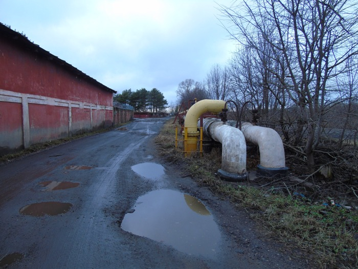 DSC06706 (700x525, 367Kb)