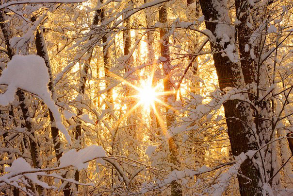 winter (604x403, 388Kb)