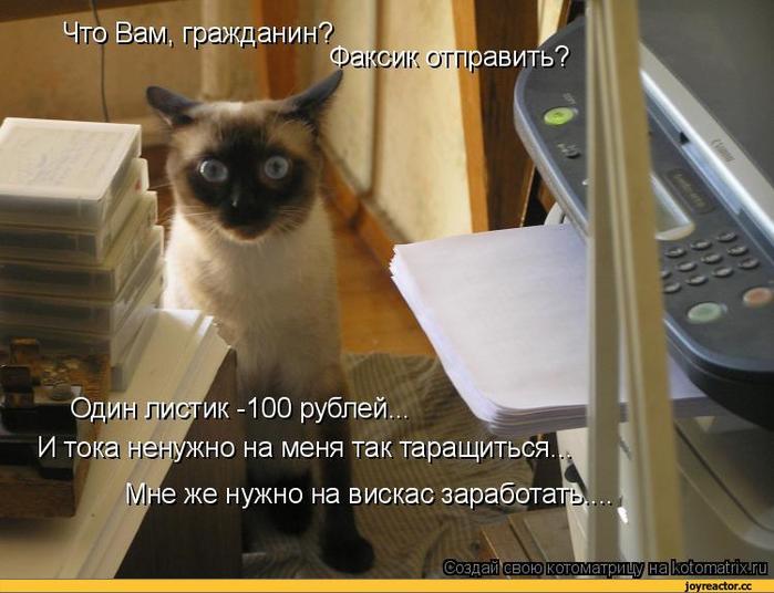 4743317_kotomatricaauto10208 (700x536, 53Kb)