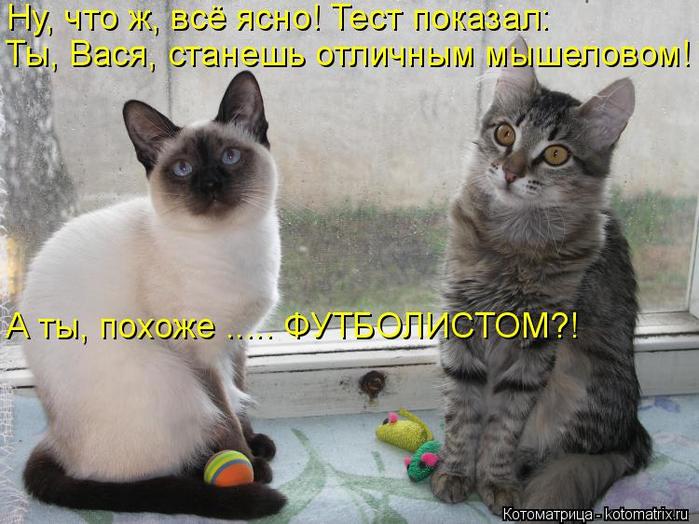 4743317_1397796571_www_radionetplus_ru3 (700x524, 64Kb)