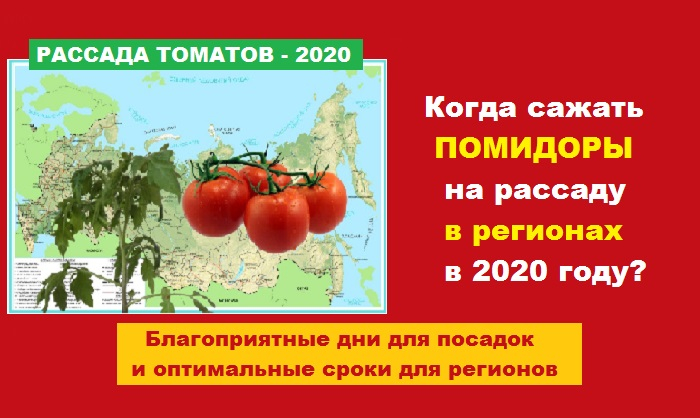 Когда садить помидоры на рассаду в беларуси