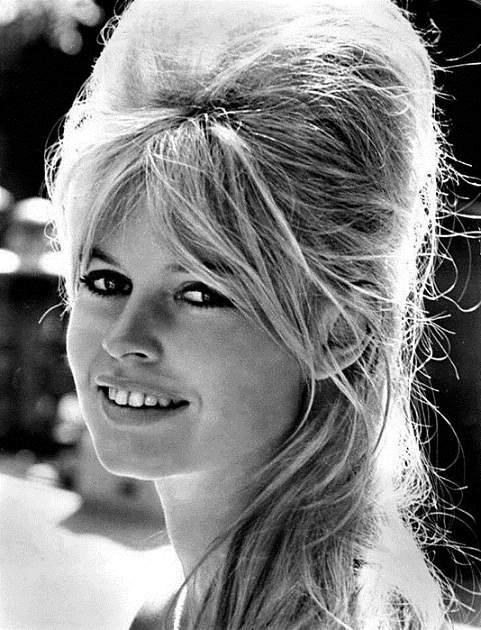 147159259_146661531_BrigitteBardot02 (481x630, 261Kb)