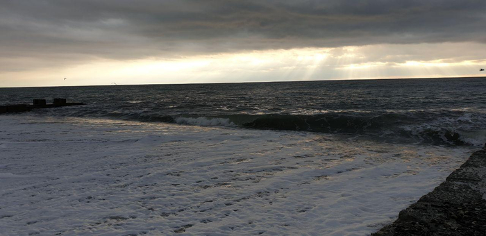 photo_2020-01-26_16-37-54 (700x340, 199Kb)