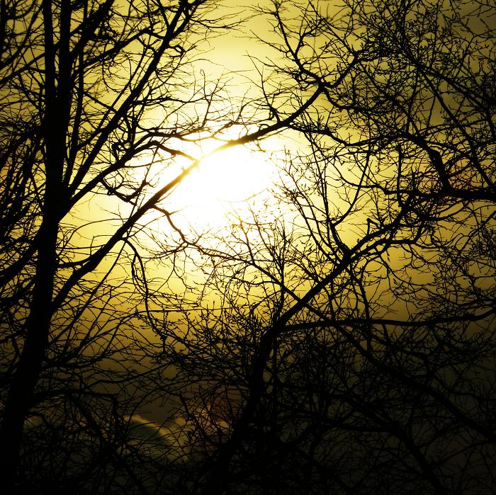 0 (700x699, 171Kb)