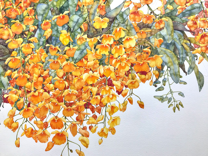 56373666_2426546360710718_5308875376548642816_o (700x525, 598Kb)