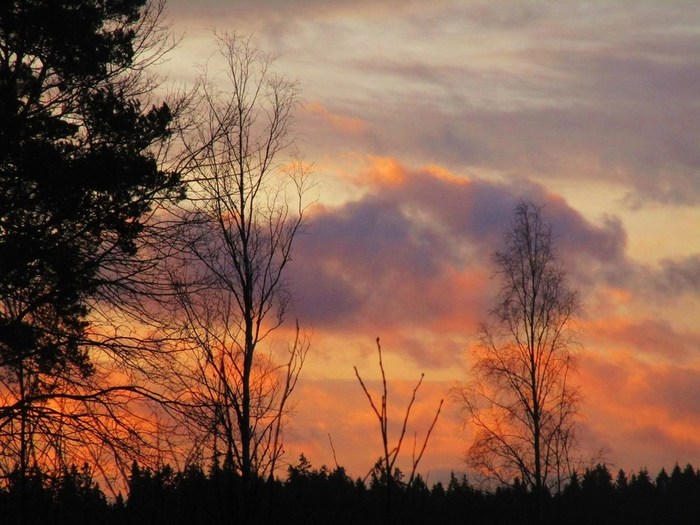 IMG_3144 (700x525, 98Kb)