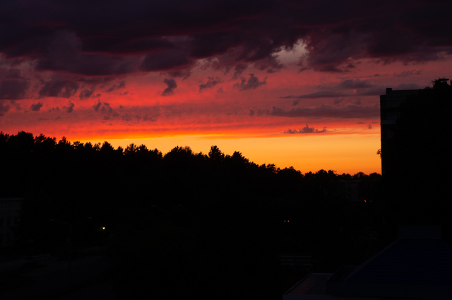 DSC03415 (640x425, 150Kb)