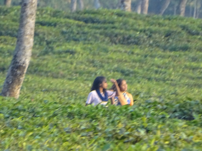 DSC00168 (700x525, 412Kb)