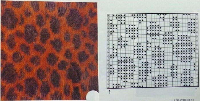 Леопард 13 (700x356, 306Kb)