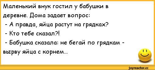 Внучка перевод. Анекдоты про бабушек и внуков. Анекдот про бабушку и внучку. Анекдот про внука. Шутки про внуков.