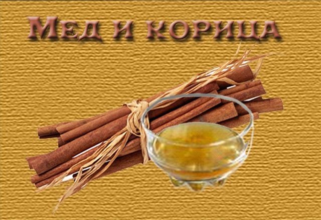 4432201_med_medikorica (640x438, 68Kb)