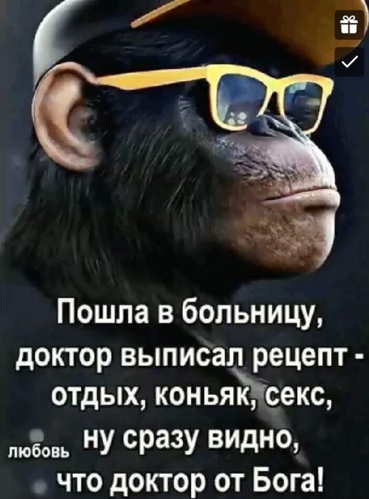 4743317_image202002171 (518x700, 198Kb)