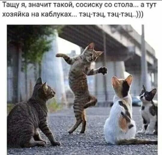 4743317_image202002113 (540x515, 51Kb)
