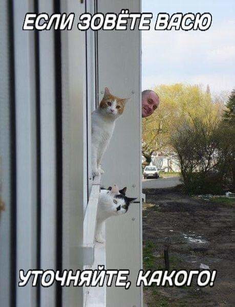 4743317_image202002116 (459x600, 52Kb)