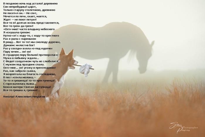 18656276_original (700x466, 39Kb)