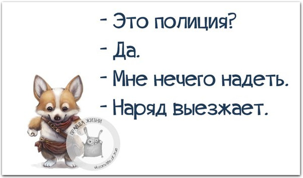 4743317_i38098 (600x353, 37Kb)