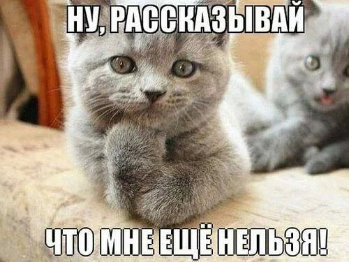 (500x470)/4743317_i (500x375, 64Kb)