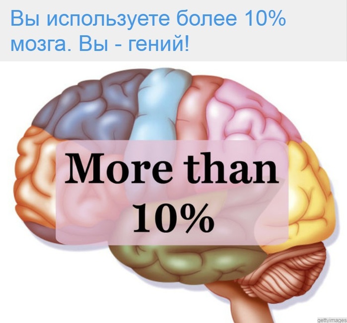 10 процентов мозга. Мозг задействован на 10%. Люди используют 10% мозга. Мы используем мозг на 10 процентов.