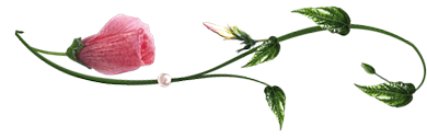 149877476_proxyimgsmail (390x126, 42Kb)