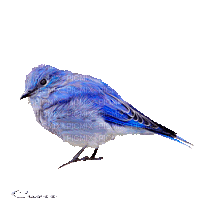 298645_677a7 (200x200, 110Kb)