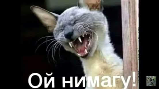  (552x310, 17Kb)