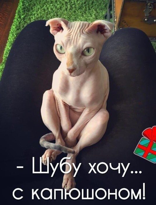 4743317_image20200303 (535x700, 74Kb)