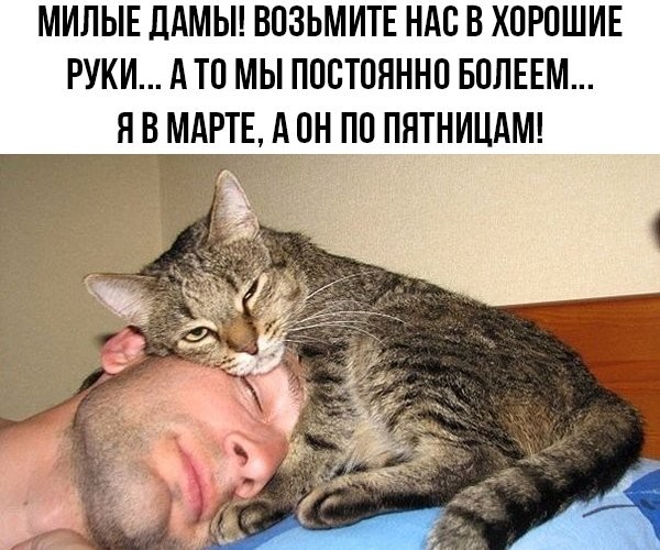 3416556_i_5_ (600x500, 91Kb)