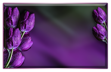 .-.-.-. (369x240, 103Kb)