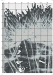  Одуванчик (DMC)-003 (494x700, 397Kb)