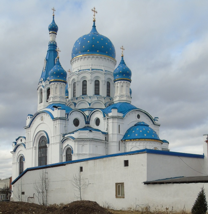 DSC07753 (678x700, 358Kb)