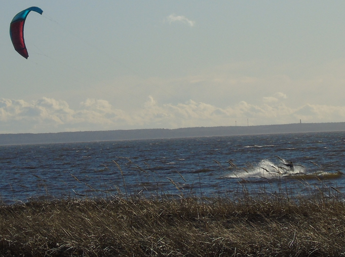 DSC07957 (700x521, 343Kb)