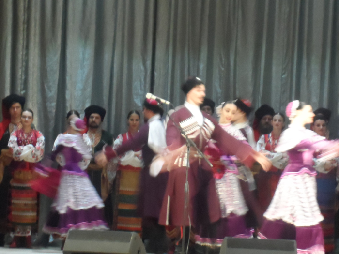 SAM_3472 (700x525, 316Kb)