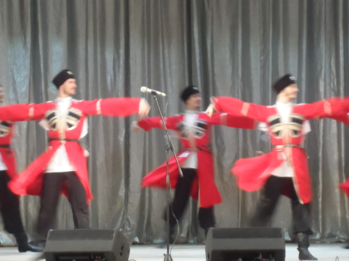 SAM_3480 (700x525, 297Kb)