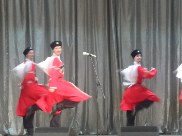 SAM_3481 (700x525, 282Kb)